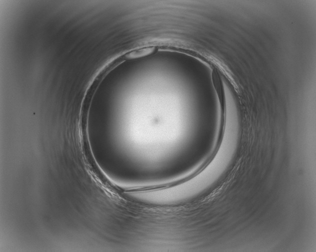 X0000082950888200702152237