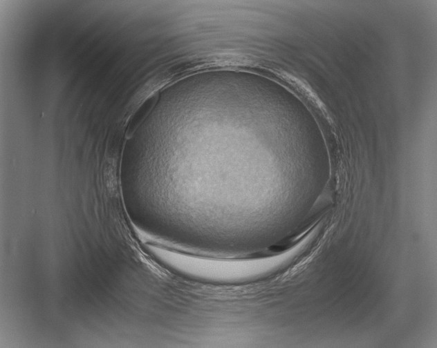 X0000082950889200702152237