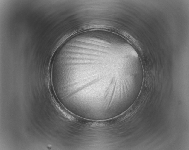 X0000082950890200702152237