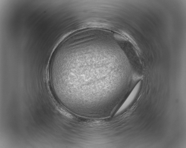 X0000082950891200702152237