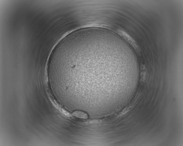 X0000082950892200702152237