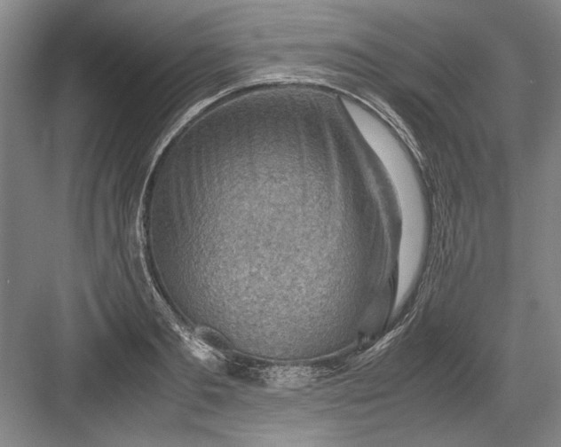 X0000082950893200702152237