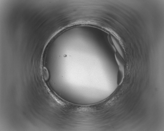 X0000082950894200702152237