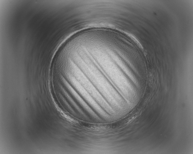 X0000082950895200702152237