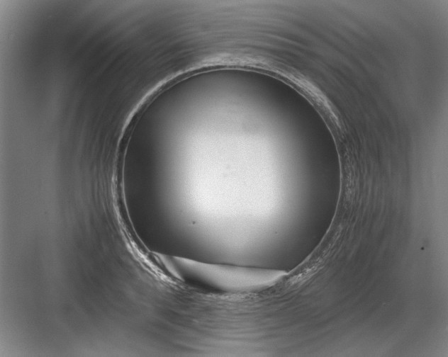 X0000082950896200702152237