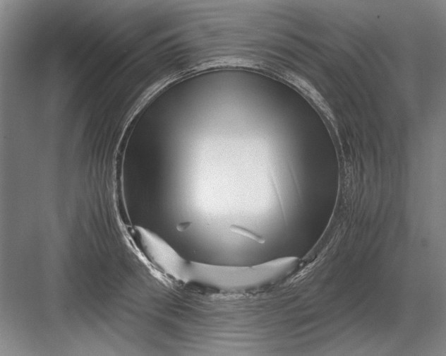 X0000082950898200702152237