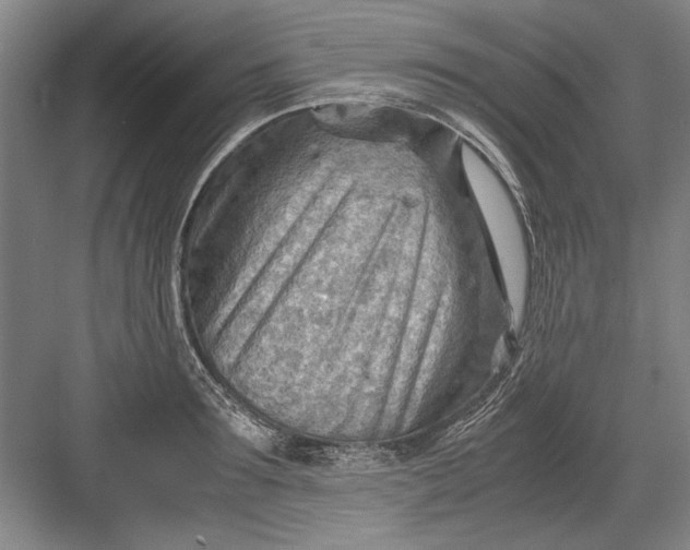 X0000082950899200702152237