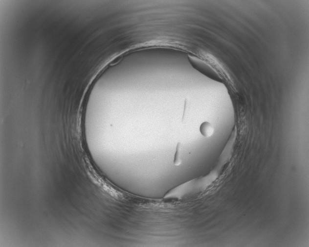 X0000082950900200702152237