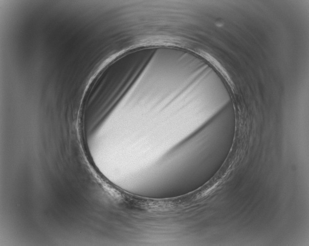 X0000082950901200702152237