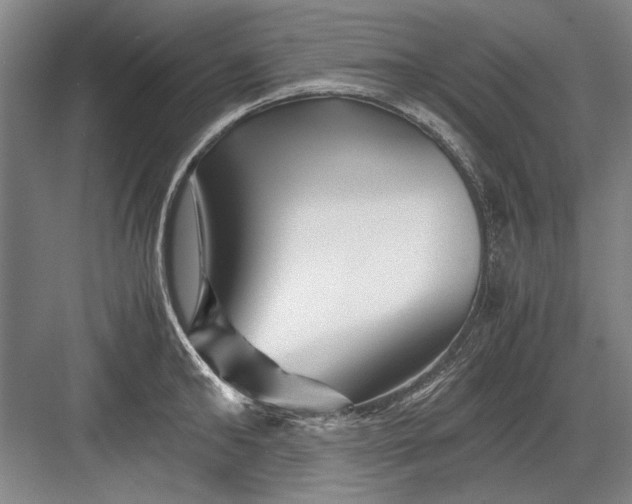 X0000082950902200702152237