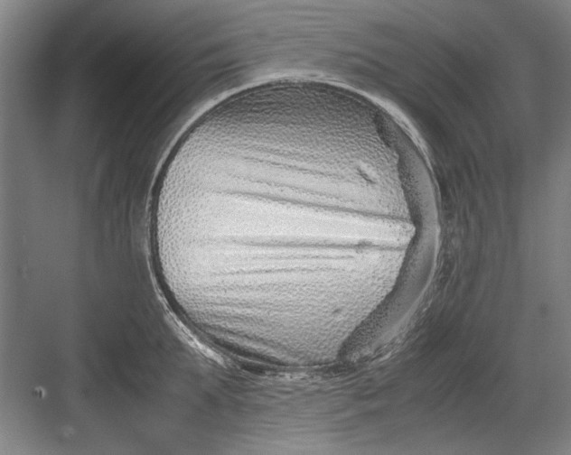 X0000082950903200702152237