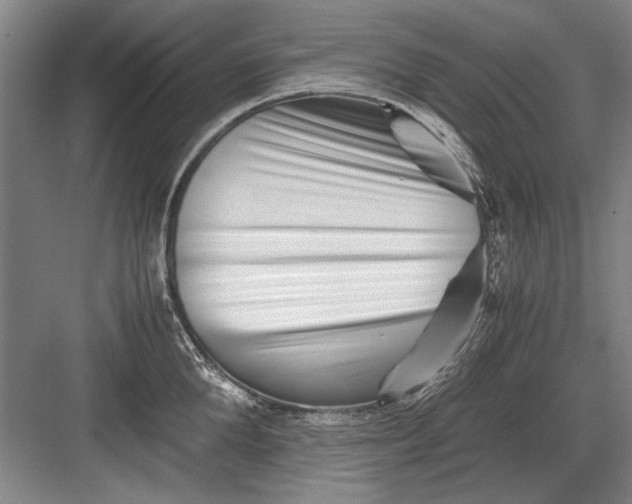 X0000082950904200702152237