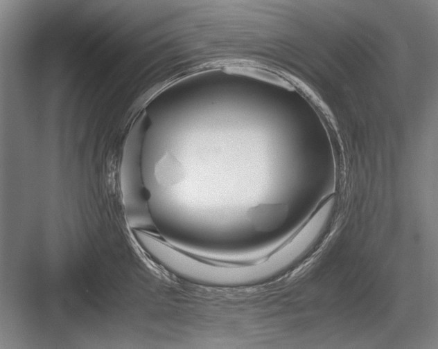 X0000082950905200702152237