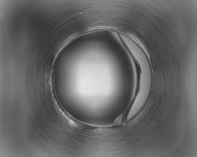 X0000082950906200702152237