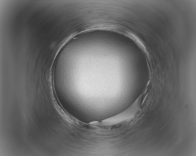 X0000082950907200702152237