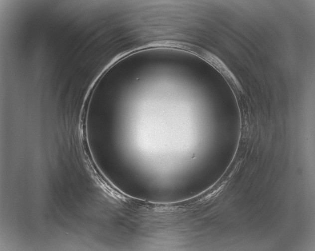 X0000082950908200702152237