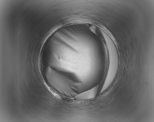 X0000082950909200702152237