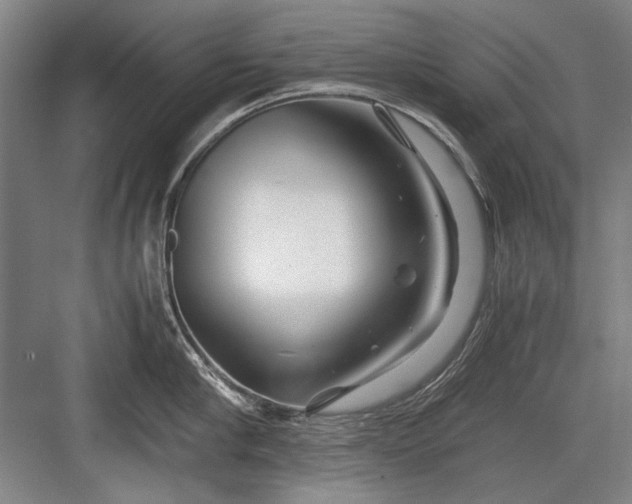 X0000082950910200702152237