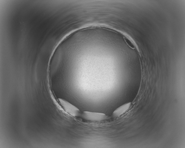 X0000082950911200702152237