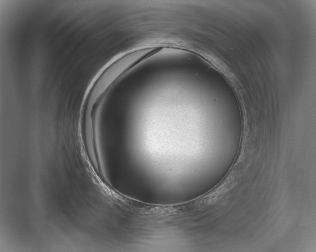 X0000082950912200702152236