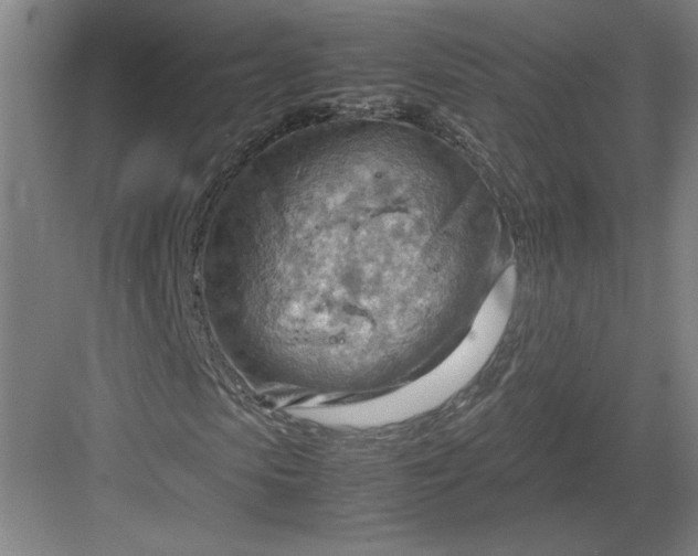 X0000082950913200702152236