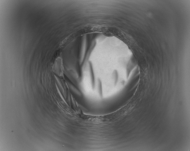 X0000082950914200702152236