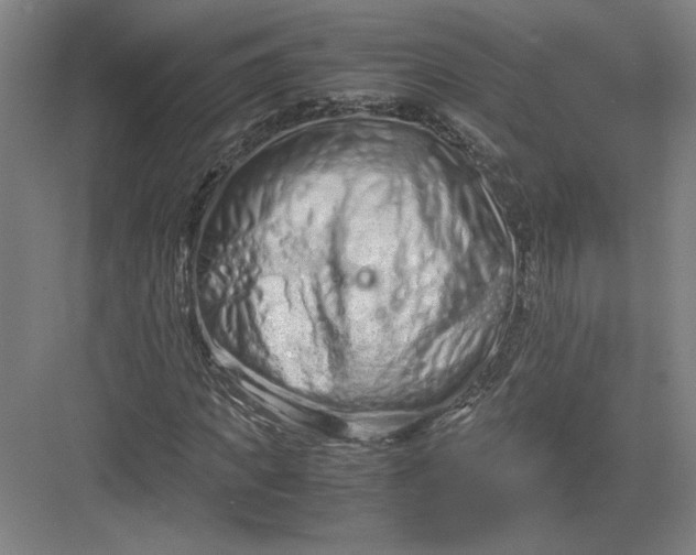 X0000082950917200702152236