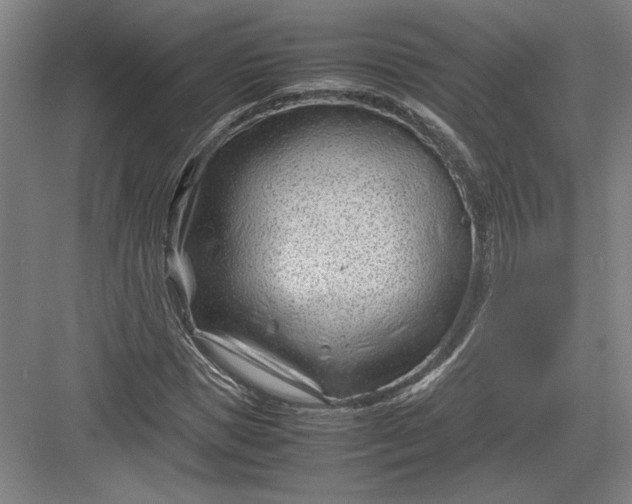 X0000082950921200702152236