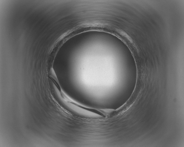 X0000082950922200702152236