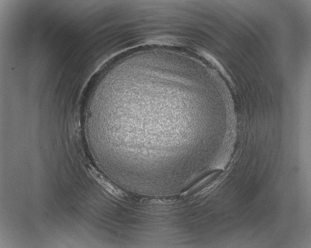 X0000082950923200702152236