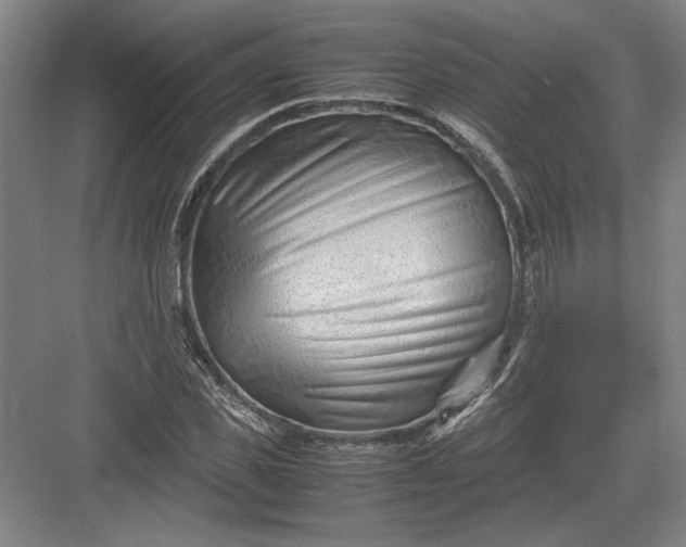 X0000082950925200702152236