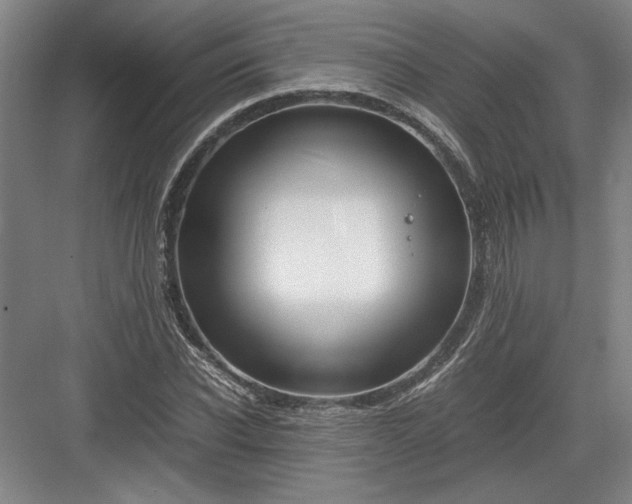 X0000082950926200702152236