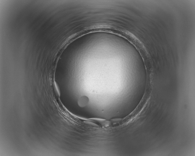 X0000082950929200702152236