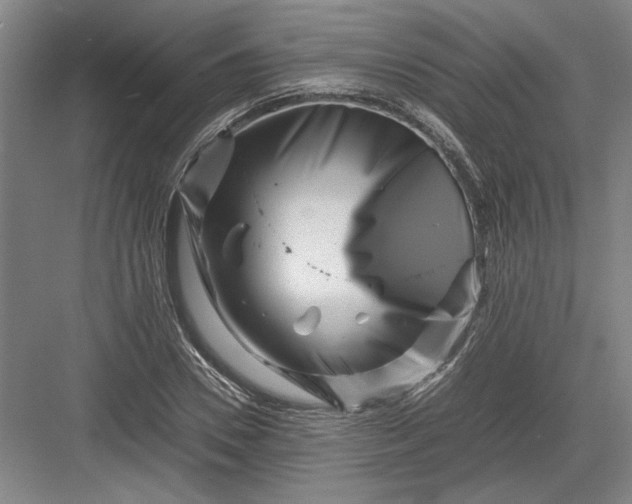 X0000082950930200702152236