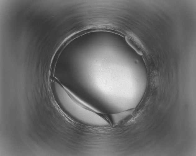 X0000082950932200702152236