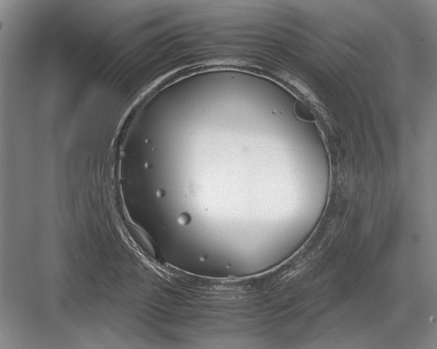 X0000082950933200702152236