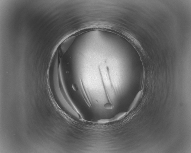 X0000082950936200702152236