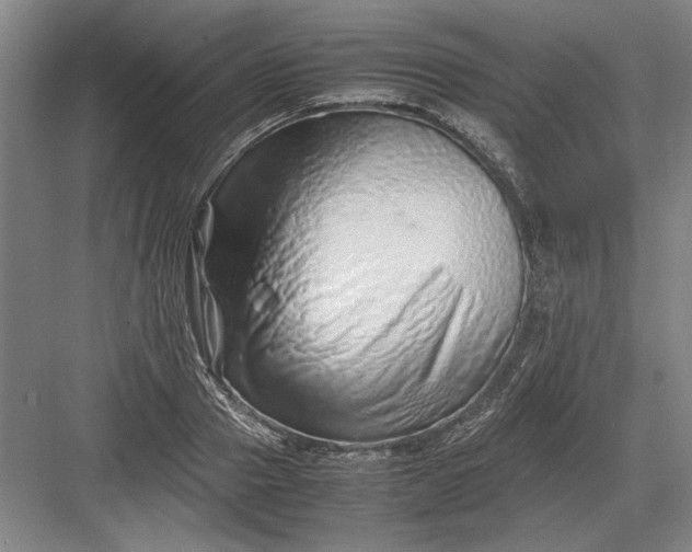 X0000082950937200702152236