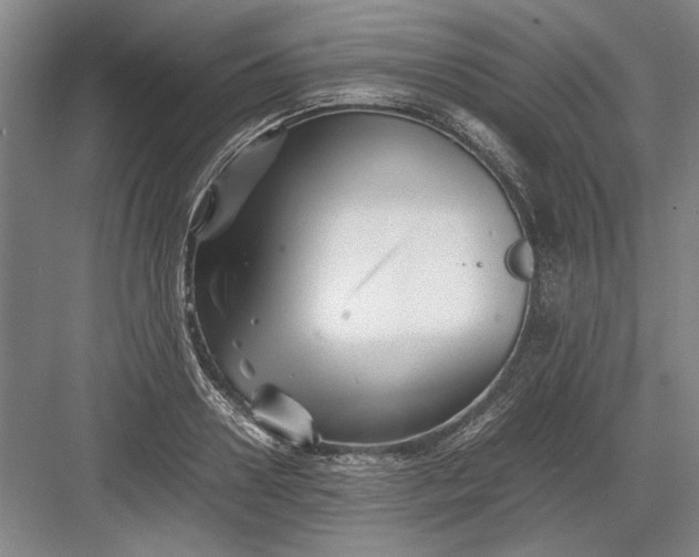 X0000082950938200702152236