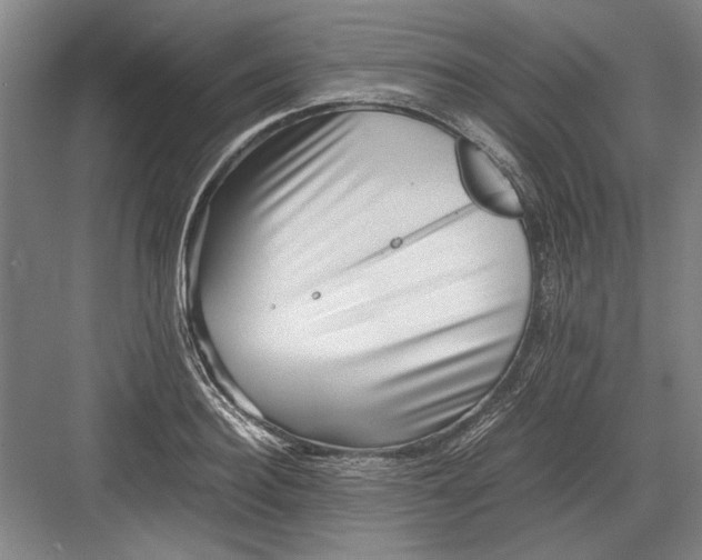 X0000082950940200702152236