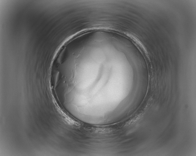 X0000082950941200702152236