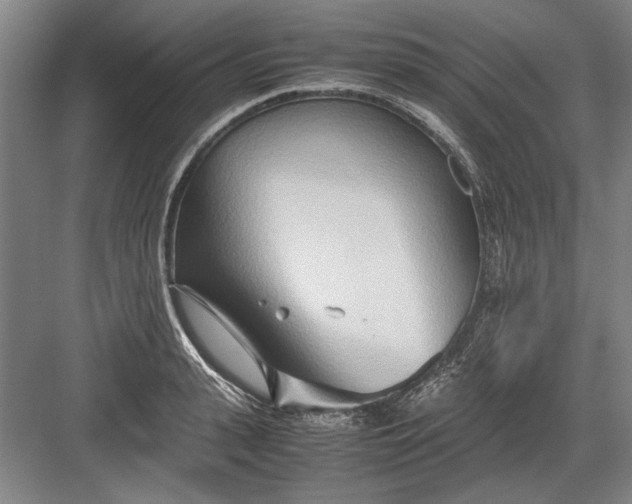 X0000082950943200702152236