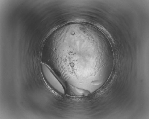 X0000082950945200702152236