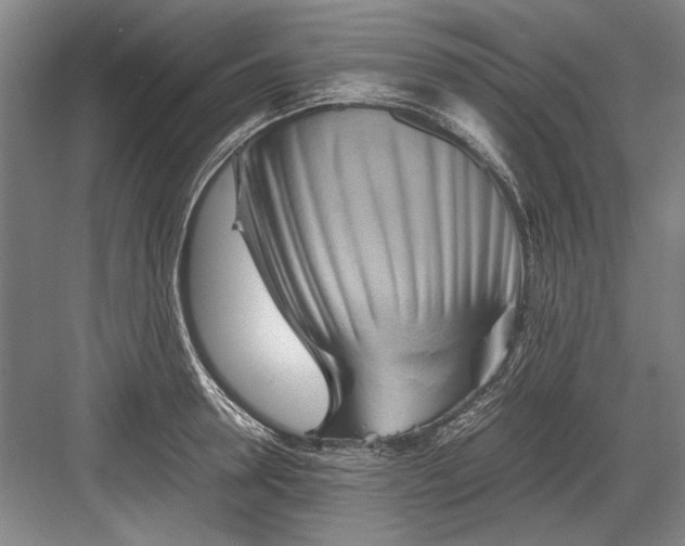 X0000082950946200702152236