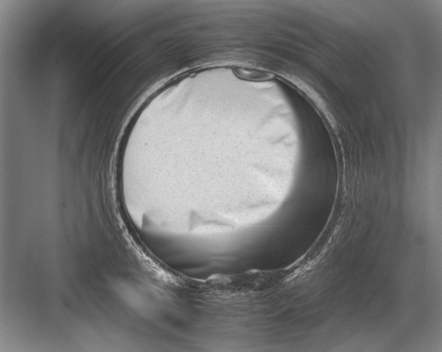 X0000082950949200702152236