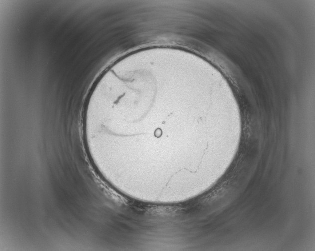 X0000082950950200702152236