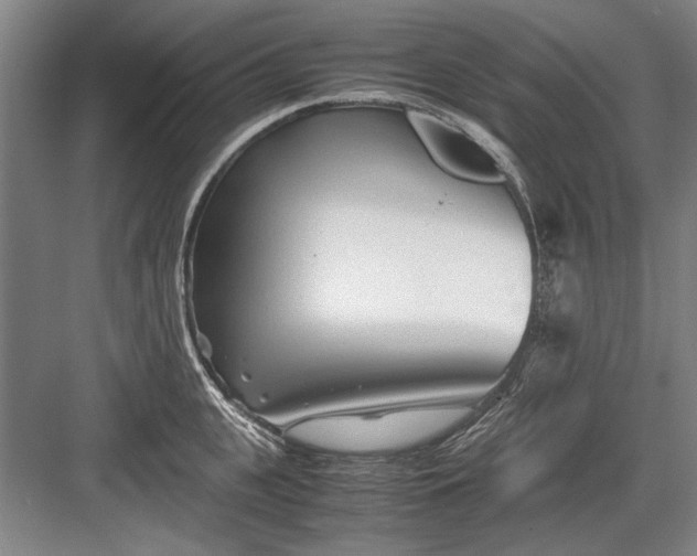 X0000082950951200702152236