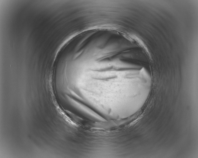 X0000082950952200702152236