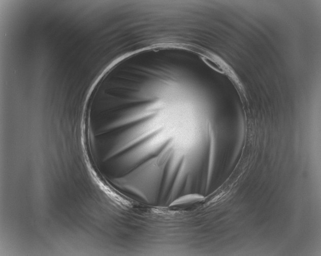 X0000082950955200702152236