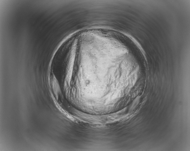 X0000082950957200702152236